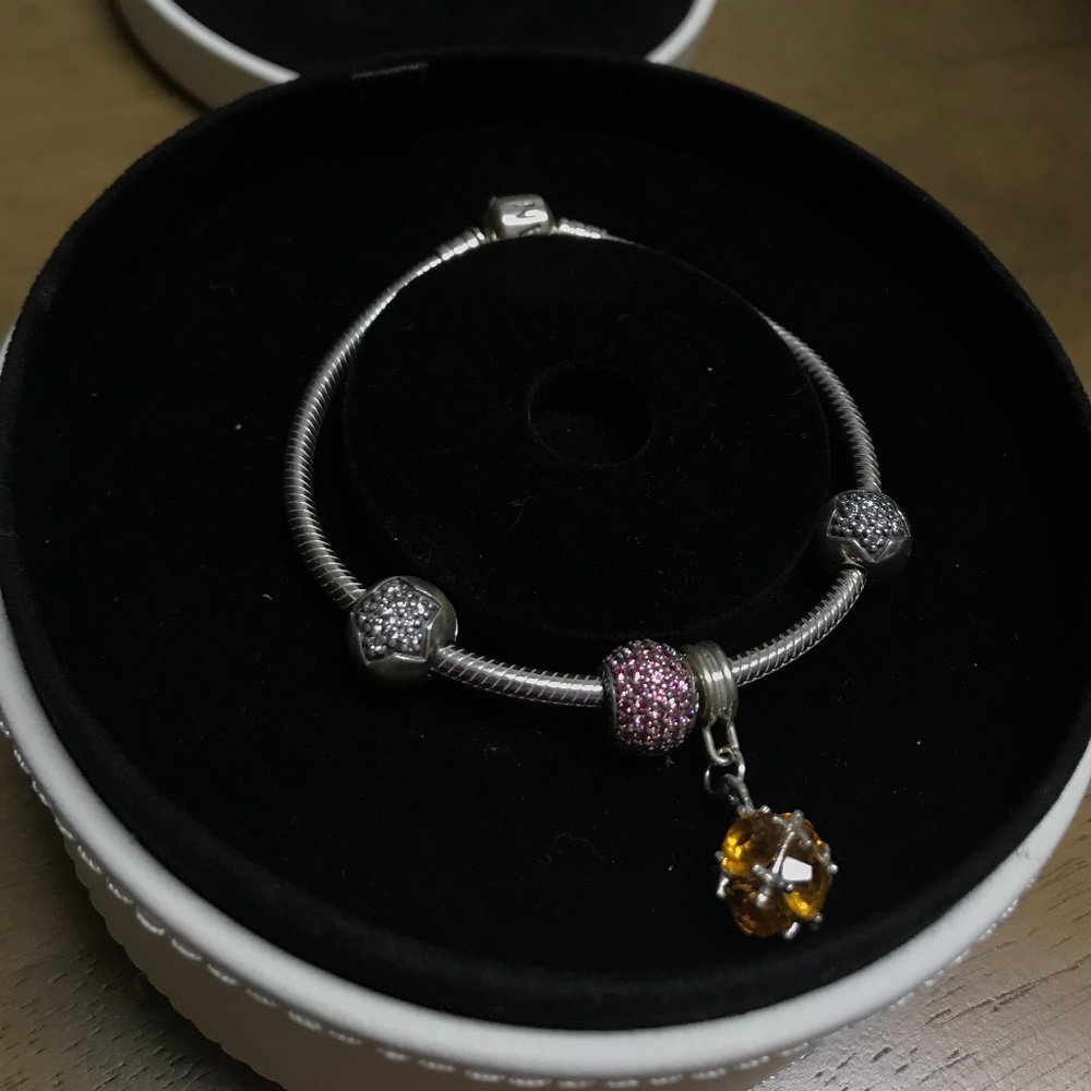 Iconic Silver Charm Bracelet w/ Charms (November)